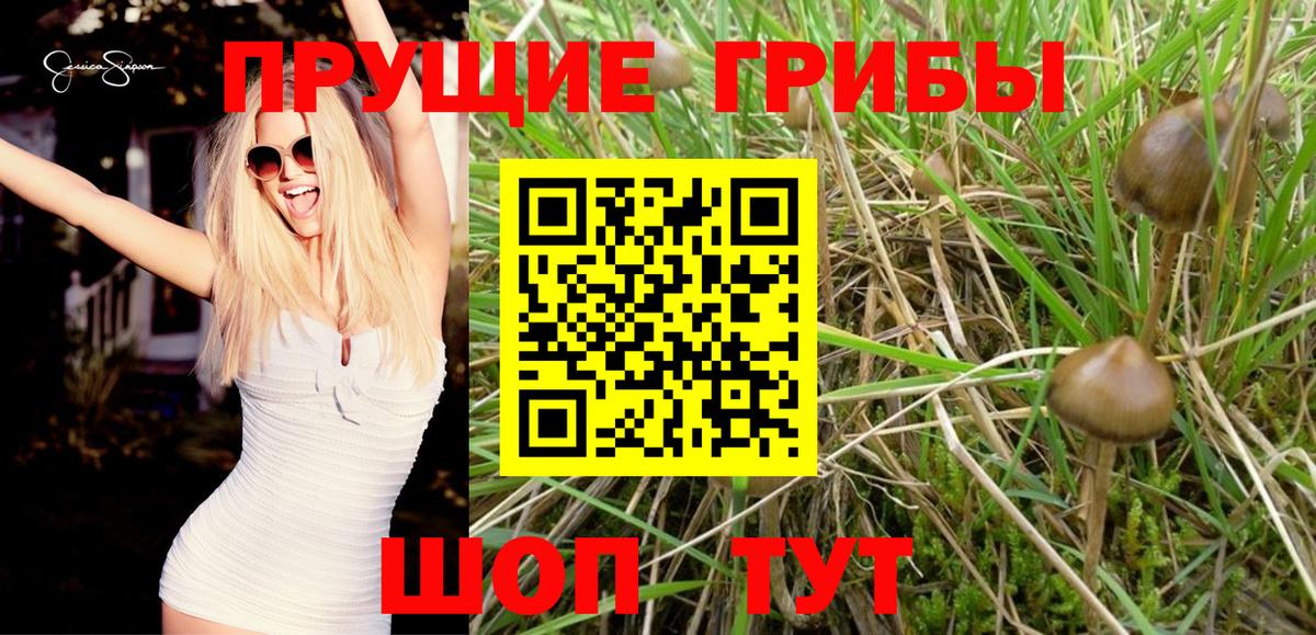Галлюциногенные грибы Cubensis Борисоглебск